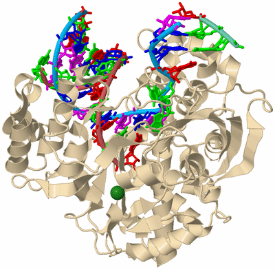 Image Biological Unit 3