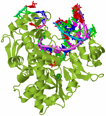 Image Biological Unit 4