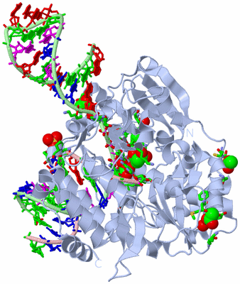 Image Biol. Unit 1 - sites