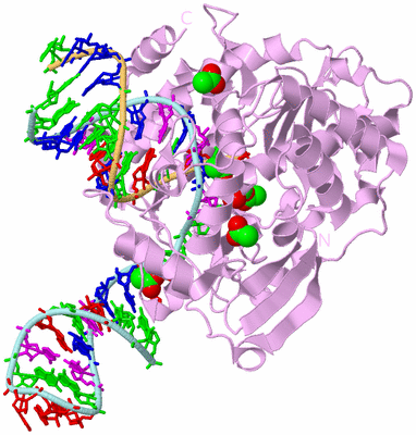 Image Biological Unit 2