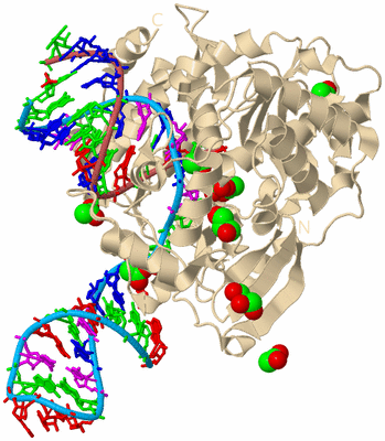 Image Biological Unit 3