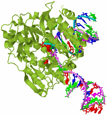 Image Biological Unit 4