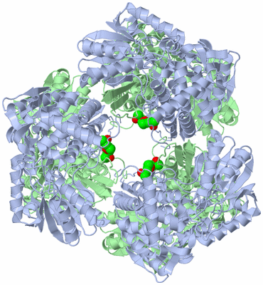 Image Biological Unit 2