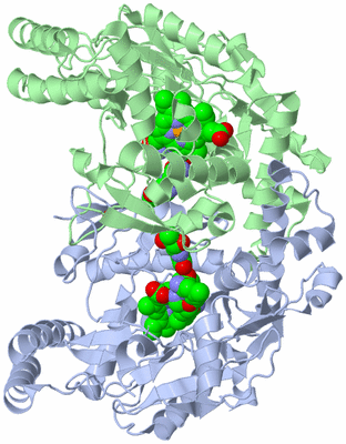 Image Asym./Biol. Unit