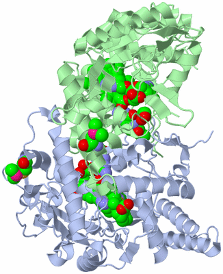 Image Asym./Biol. Unit