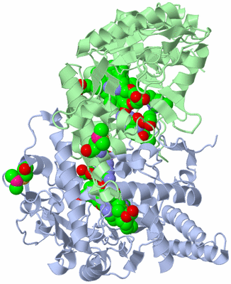 Image Asym./Biol. Unit