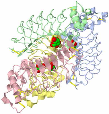 Image Asym./Biol. Unit