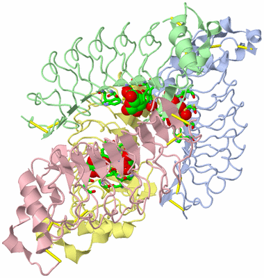 Image Asym./Biol. Unit - sites