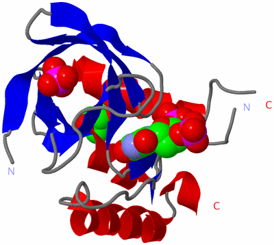 Image Asym./Biol. Unit