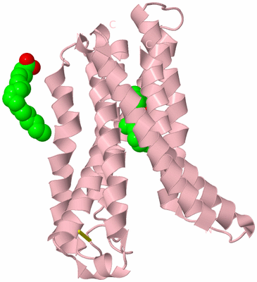 Image Biological Unit 3