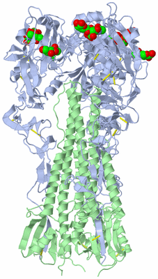 Image Biological Unit 1