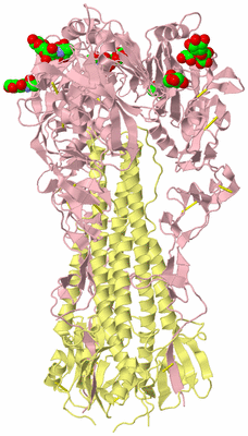 Image Biological Unit 2