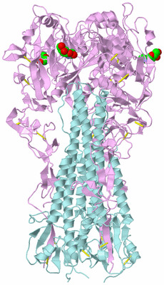 Image Biological Unit 3