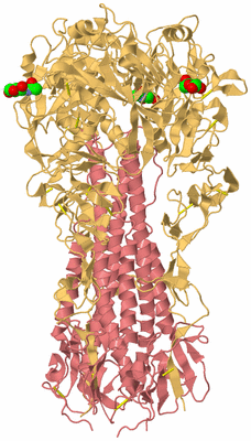 Image Biological Unit 4