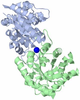 Image Asym./Biol. Unit