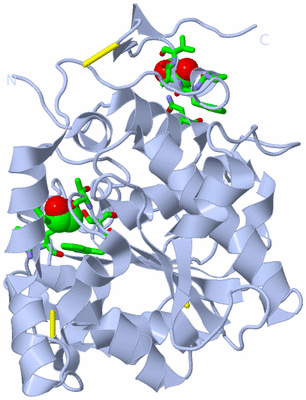 Image Biol. Unit 1 - sites