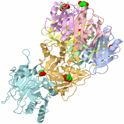 Image Asym./Biol. Unit