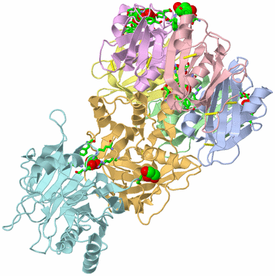 Image Asym./Biol. Unit - sites