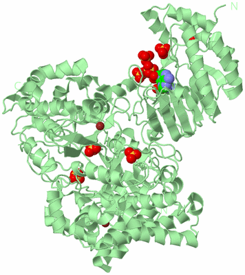 Image Biological Unit 2