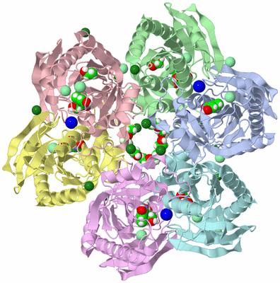 Image Asym./Biol. Unit