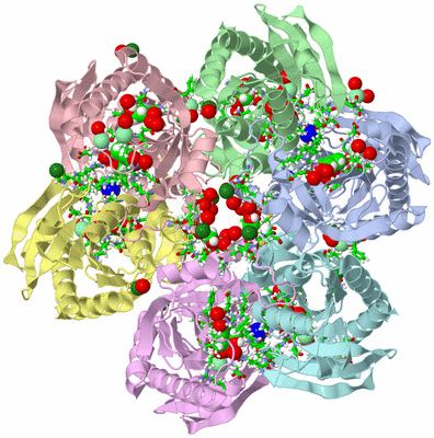 Image Asym./Biol. Unit - sites