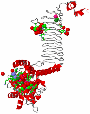 Image Asym. Unit - sites