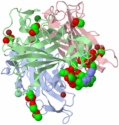 Image Biological Unit 1