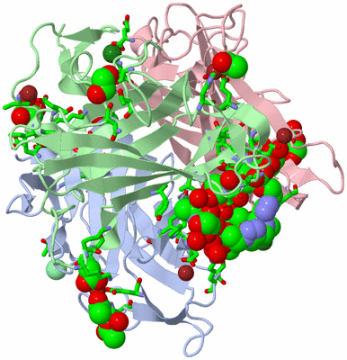 Image Biol. Unit 1 - sites