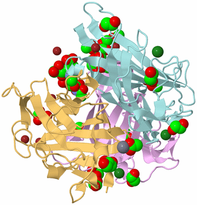 Image Biological Unit 2