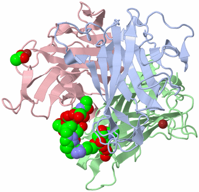 Image Asym./Biol. Unit