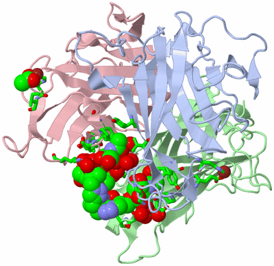 Image Asym./Biol. Unit - sites