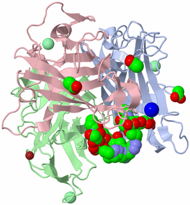 Image Asym./Biol. Unit