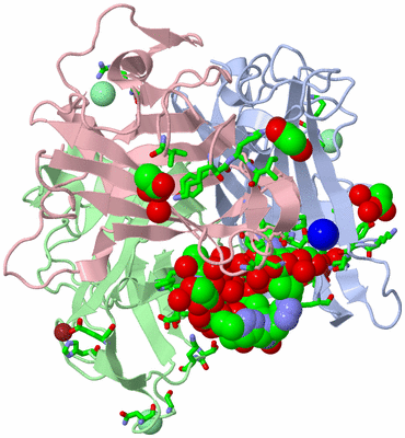 Image Asym./Biol. Unit - sites