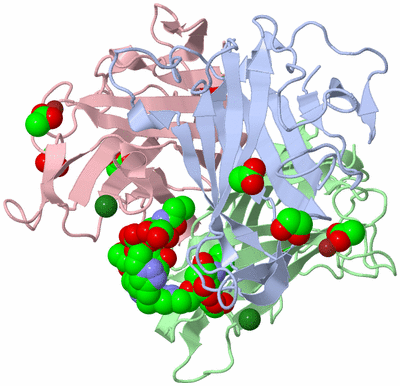 Image Asym./Biol. Unit