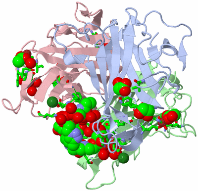 Image Asym./Biol. Unit - sites