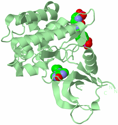 Image Biological Unit 1