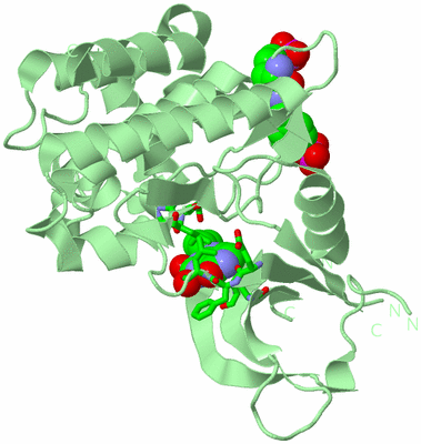 Image Biol. Unit 1 - sites