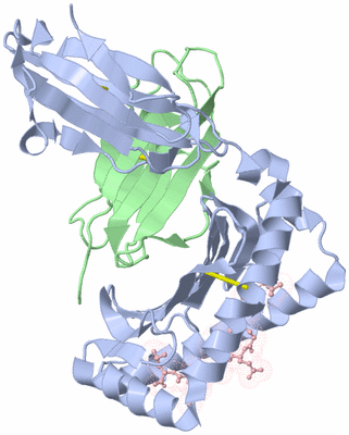 Image Biological Unit 1