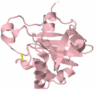 Image Biological Unit 3