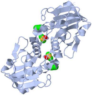 Image Biological Unit 4