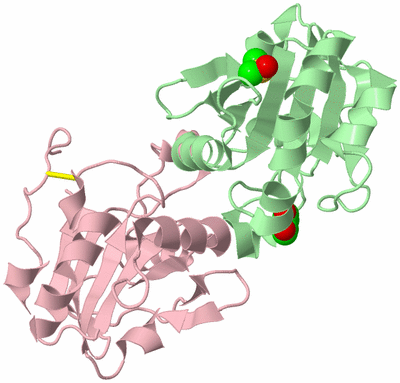 Image Biological Unit 5