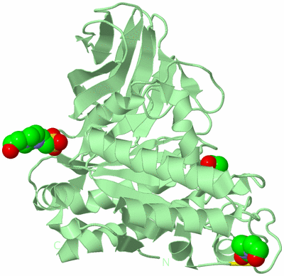 Image Biological Unit 2