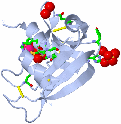 Image Biol. Unit 1 - sites