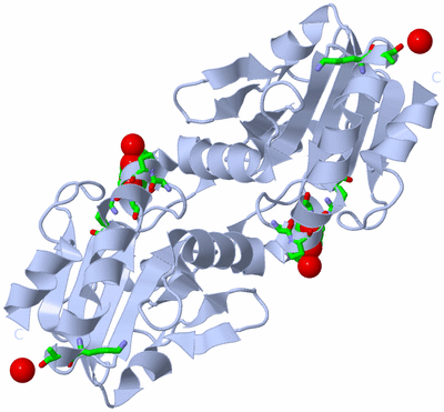 Image Biol. Unit 1 - sites