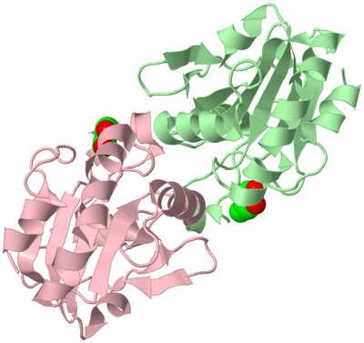 Image Biological Unit 2