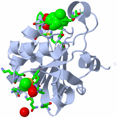 Image Biol. Unit 1 - sites