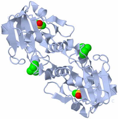 Image Biological Unit 4