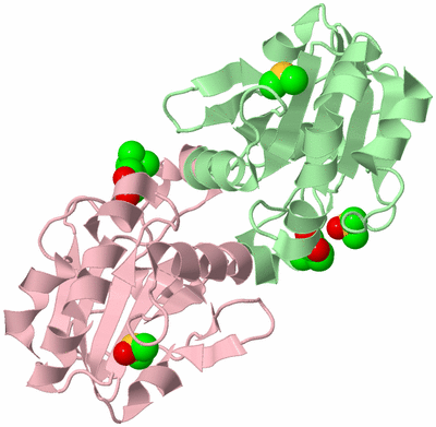 Image Biological Unit 5