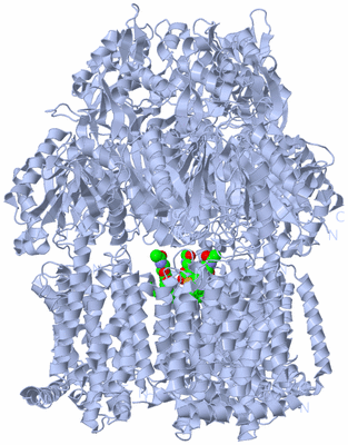 Image Biol. Unit 1 - sites