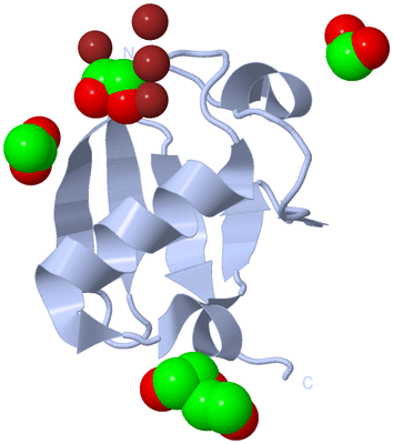 Image Biological Unit 1